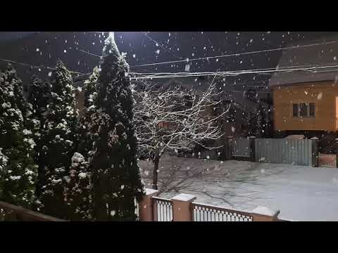 Это было волшебно! Снег падал большими хлопьями и мягко ложился на крыши домов, деревья, асфальт.