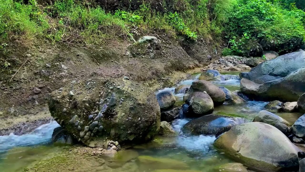 Mysterious Forest Water & River Sounds - Nature Sounds for Mindfulness, Meditation, Relaxation