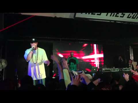 dave bee en chile 2011 - representadome