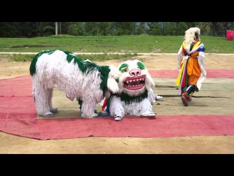 Jhamtse Gatsal - Dalai Lama Birthday - Lion Dance