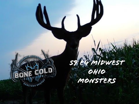 Season 9 Episode 4: Midwest Ohio Monster Whitetails! giant with a recurve!