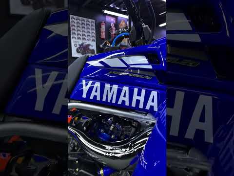 BEAUTIFUL BANSHEE 350