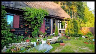 Russia, Evening walk in the countryside, Saint Petersburg / Ma maison russe.