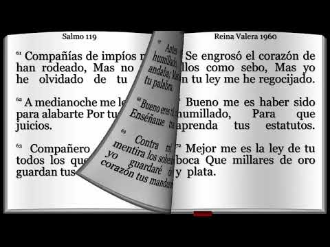 Salmo 119   Excelencias de la ley de Dios Con Letra