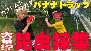 カブトムシ・クワガタ採集！バナナトラップで大量捕獲！？