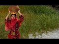 Raees Bacha Pashto Song 2022 - Rook De Rana Zra Janana - پشتو - afghani Music - Songs -