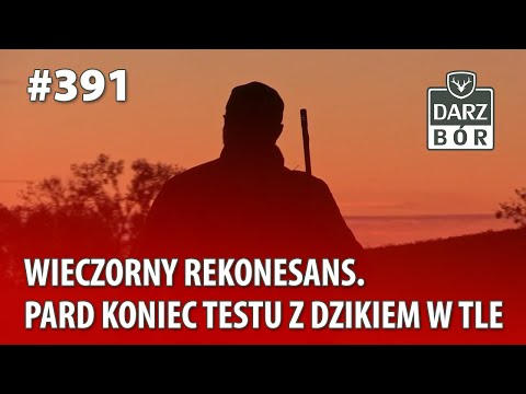 Darz Bór odc 391 - Wieczorny rekonesans. PARD koniec testu z dzikiem w tle.