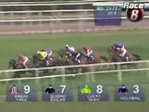 CLASSIC - THREE RINGS TROPHY 2009