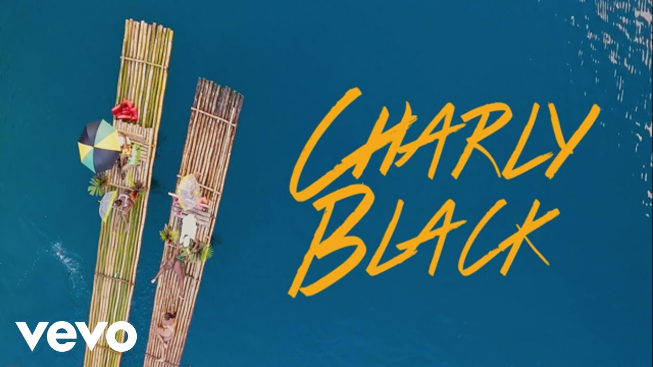 Charly Black — Love Every Woman