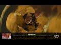 Iklan Djarum Super Espresso Gold 2024 FHW 21 Tahun