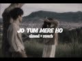 Jo Tum Mere Ho Slowed Reverb Anuv Jain Annu Edtis7