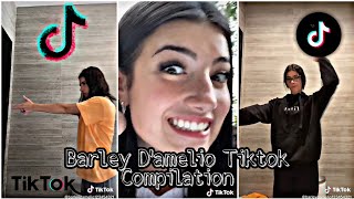 Barley D'amelio - Tiktok Compilation September 2020