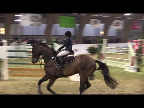 26.01.2020 Barlo-Bocholt: Großer Preis (1,40m) - 1. Antonia Locker/Cristobal 22