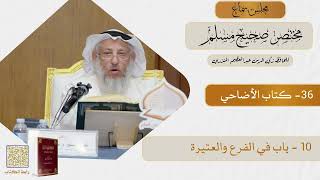 36- كتاب الأضاحي - مجلس سماع مختصر صحيح مسلم - الشيخ د. عثمان الخميس