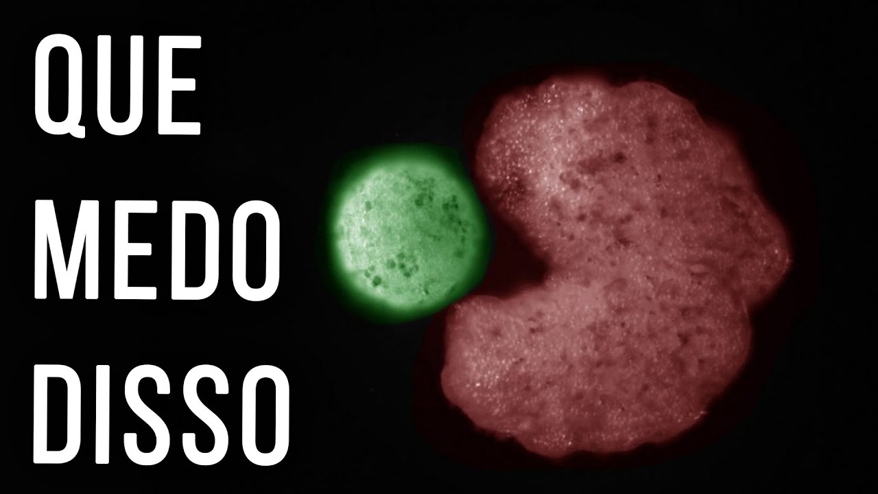 É UM ROBÔ, É VIVO... E APRENDEU A SE REPRODUZIR!