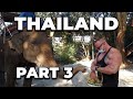 IFBB PRO TONI KOHONEN - Thailand part3. Testosika, Ändin shortsit ja Jouluruoka