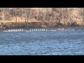 2014 EARC HM 2V8+ Penn Columbia Yale Crew Rowing