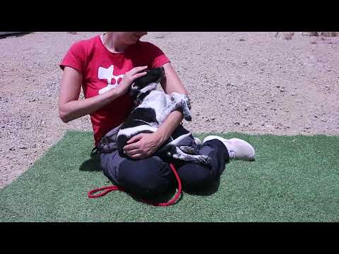 Vídeo de OLE