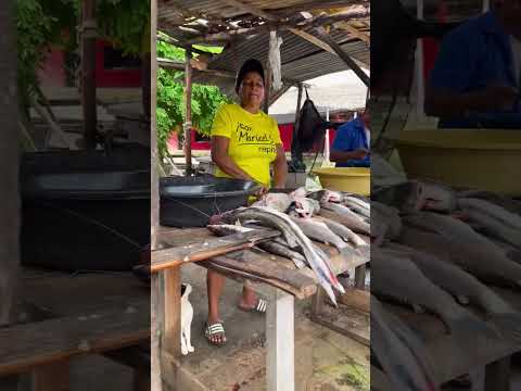 Plaza de pescado Ayapel Córdoba #pescado #pescadofresco #fishmarket #fishseller #fishselling#seafood