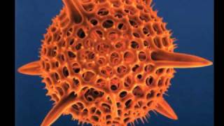 Cause & Effect - Leaded