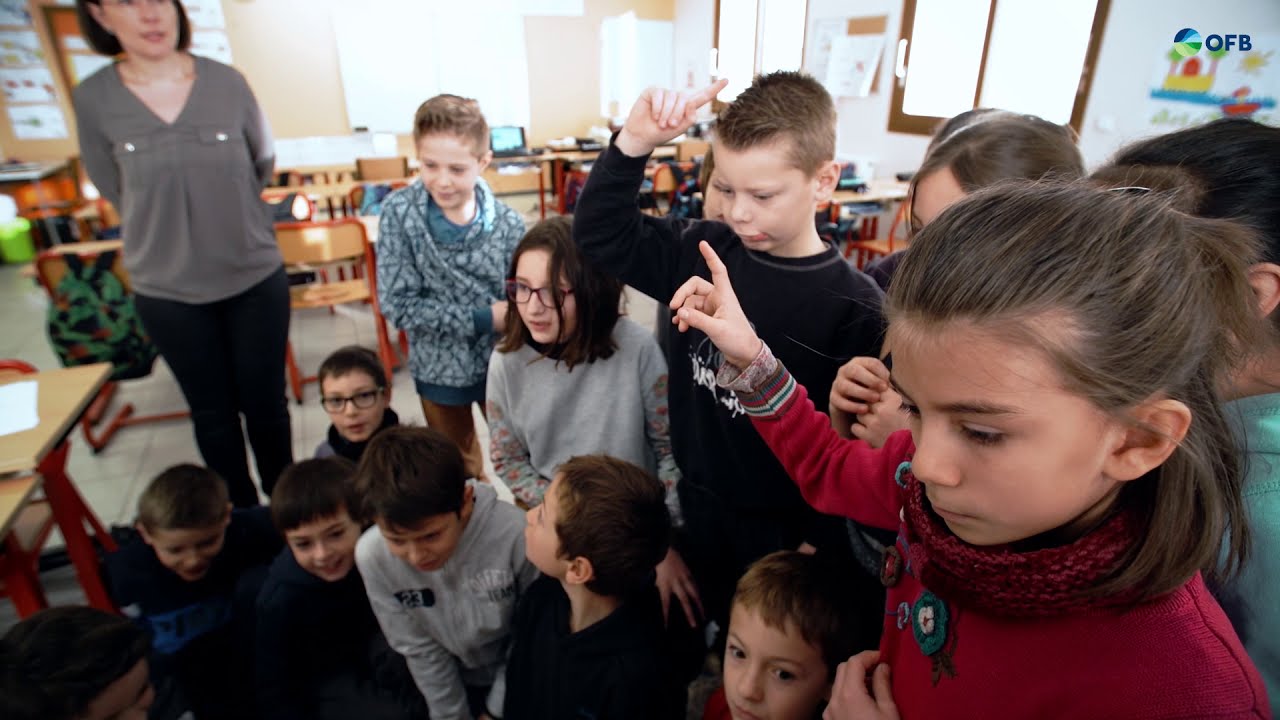 Les chauves-souris s'invitent en classe, Grands prix Natura 2000 édition 2019
