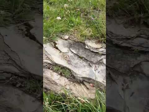 🏔️ Furka Pass Part 2 – Even More Stunning Views on James Bond’s Legendary Road 🇨🇭✨