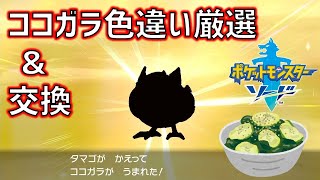 ココガラ ポケットモンスター ムクホーク ウツロイド ハリボーグ ココガラ ポケットモンスター ムクホーク ウツロイド ハリボーグ