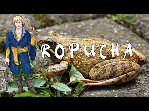 Ropucha - Bardbarian