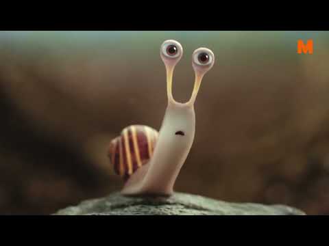 MIGROS: Bei der Frische einen Schritt voraus.