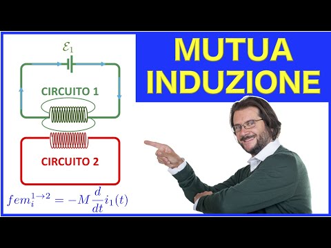 Mutua induzione