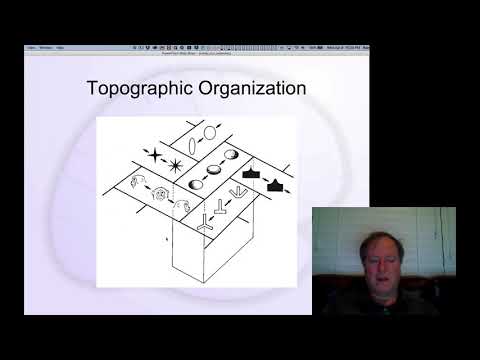 CCN Course 2020, Networks 4: Distributed Representations