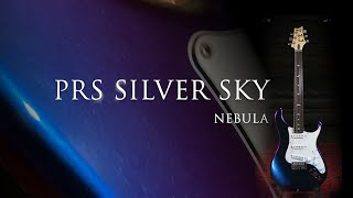 Video thumbnail for NEW Limited Edition PRS Nebula Silver Sky by Palen Music Center