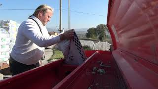 ecco-l-oro-d-irpinia