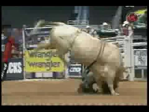 Wiley Petersen vs Road Rage