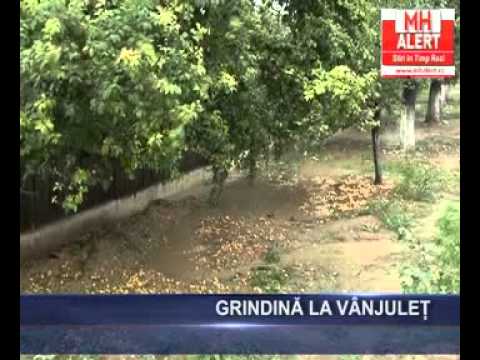 GRINDINA LA VANJULET