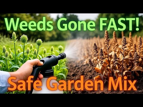 This Simple Mix DRIES Weeds in HOURS! Garden-Safe Method Revealed!. 