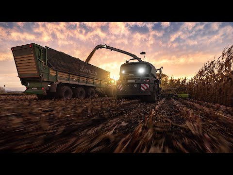 Thors Hammer | Ein CLAAS JAGUAR 990 TT vs. 1340 ha Mais