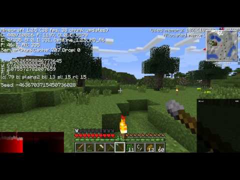 Let's Play TerraFirmaCraft ~ Ep. 16 ~ New Updates