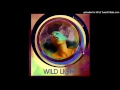Wild Light - Canyon City 