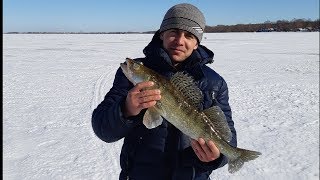 Ловля щуки зимой на бокоплав