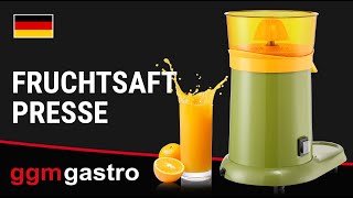 Elektrische Fruchtsaftpresse - 180 Watt