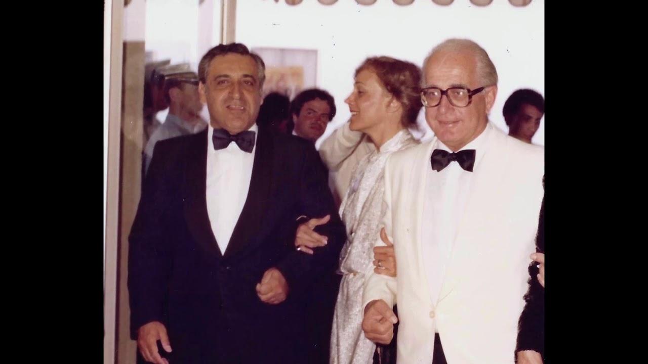 Zvi Spielmann - The professional's way thumbnail