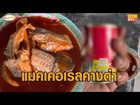 คลิกเพื่อดูคลิปวิดีโอ