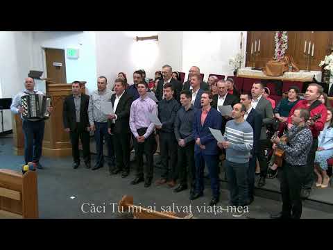 În orice clipă-n viaţa mea