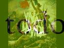 COLDPLAY STRAWBERRY SWING EN ESPAÑOL ...