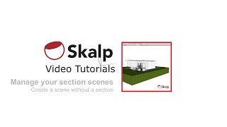 Skalp Video Tutorial: Create a scene without a section.
