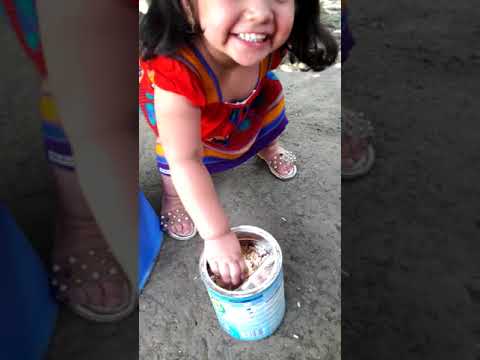 Very Young Kid Yumna is Feeding the chicks ! Urban Video
