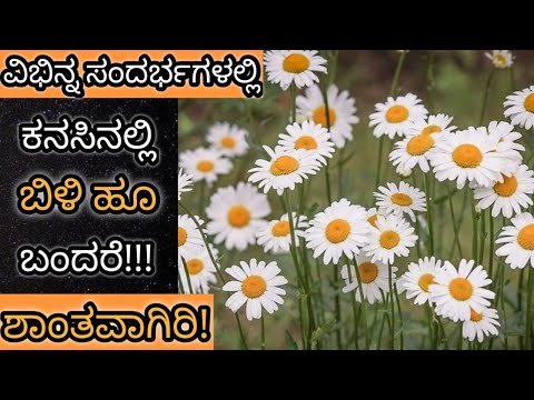 ಕನಸಿನಲ್ಲಿ ಬಿಳಿ ಹೂ ಬಂದರೆ || Kanasinalli Billi Hoo Bandare || White Flowers in Dream Meaning