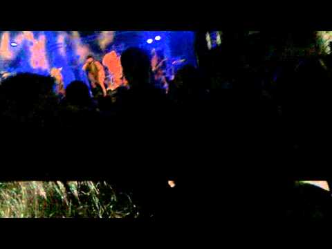 Distemper - If the kids are united