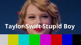 Taylor Swift Stupid Boy New Twist